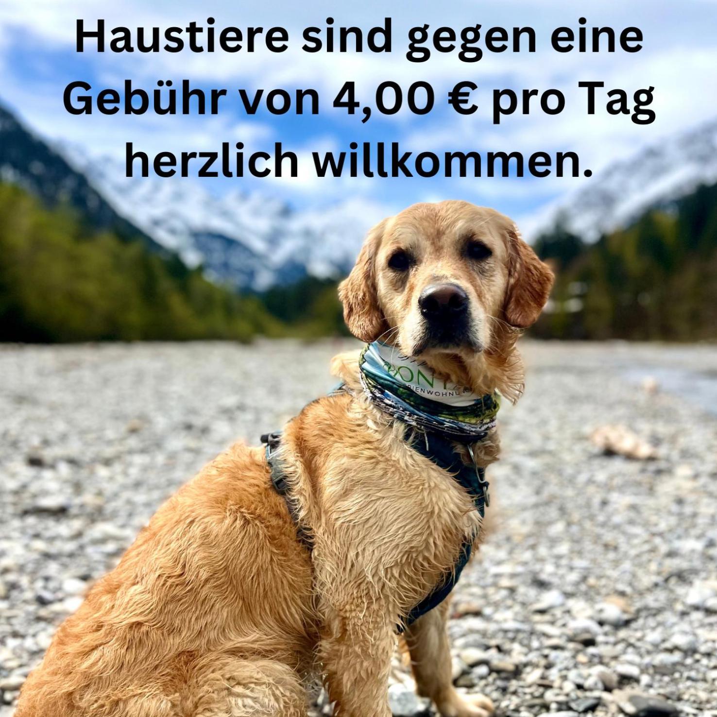 Montana Haus, Fewo A14, A17, B4 Oder C8 Oberstdorf Exteriör bild